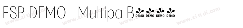 FSP DEMO   Multipa B字体转换